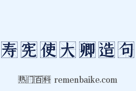 寿宪使大卿造句是什么意思的图片